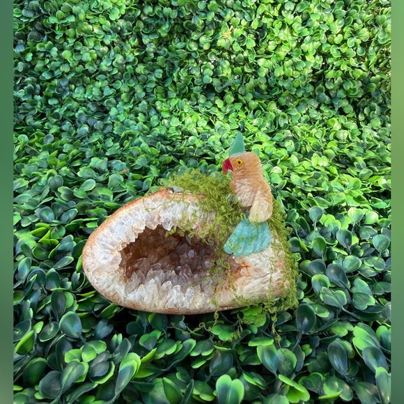 Parrot carving on Agate Geode – Handcrafted - Picture 2 of 6